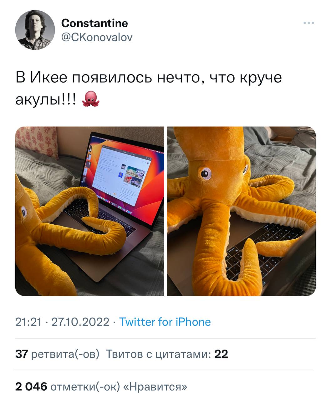 Где-то не в России: IKEA запустила в продажу конкурента акулы — осьминога Бловинъйад.
