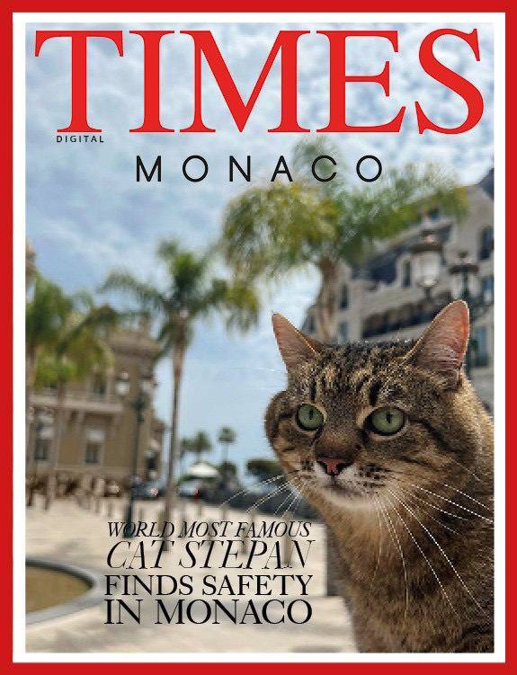 Известный по мемам кот Степан попал на обложку Times