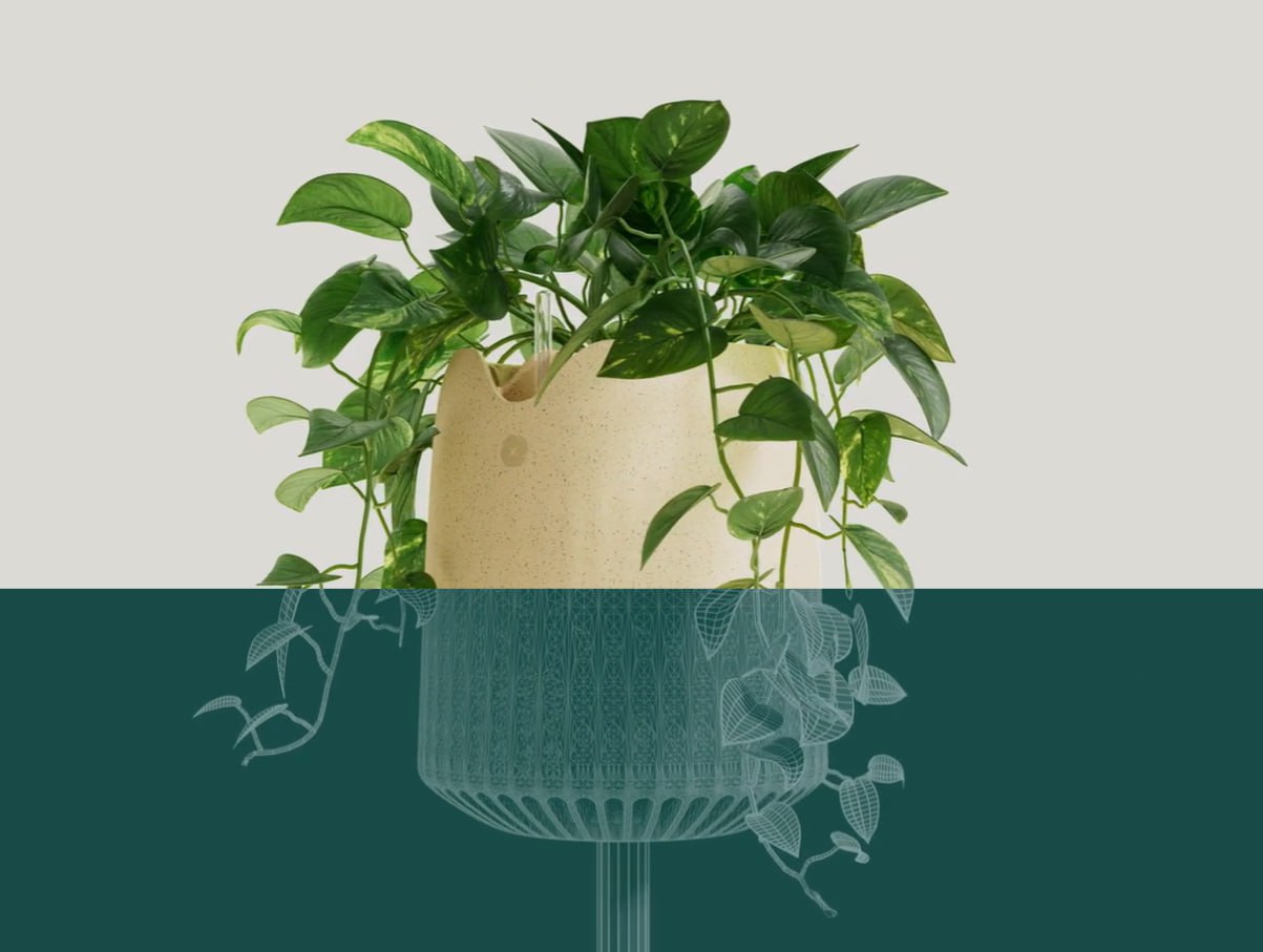Стартап создал растение-очищающее воздух