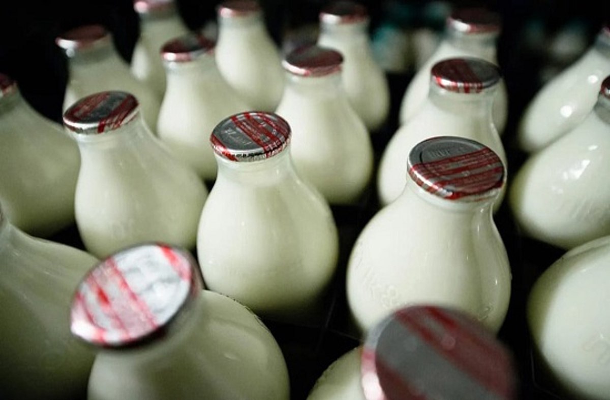 Российские производители в 2022 году стали чаще маскировать уменьшение объёма молока или кефира
